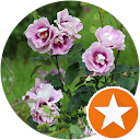 Elooo M. profile picture