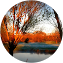 Nathalie O. profile picture